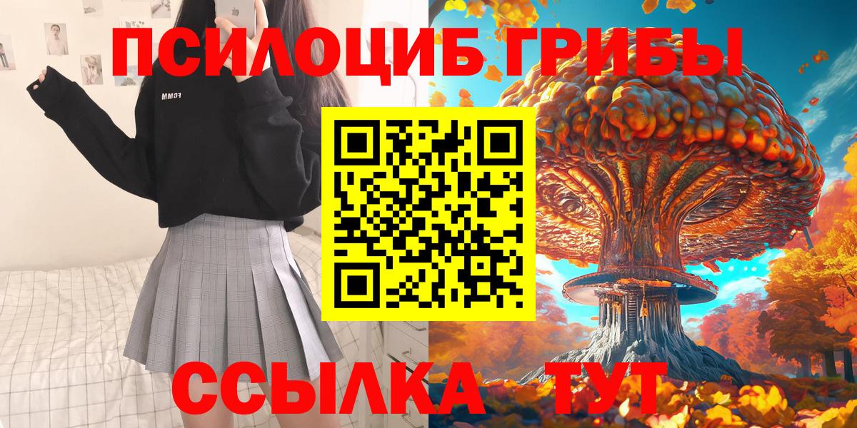 Псилоцибиновые грибы прущие грибы  Вход с VPN  Брянск 
